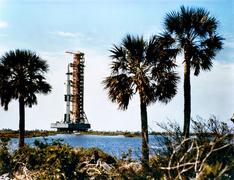 Apollo 10 rolls out among the palms