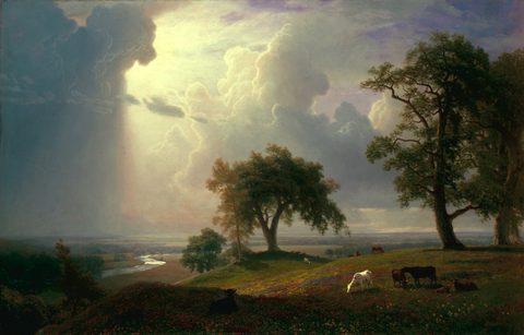 California Spring by Albert Bierstadt, 1875, framed print