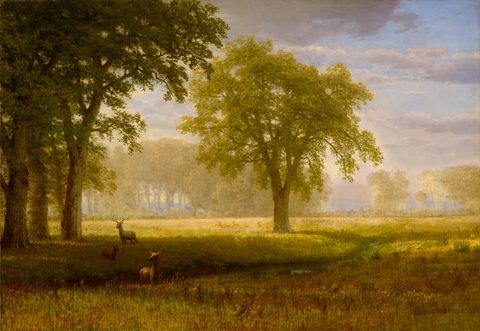Elk in an Oak Grove (Tuolumne Meadows) by Albert Bierstadt, c. 1875, framed print
