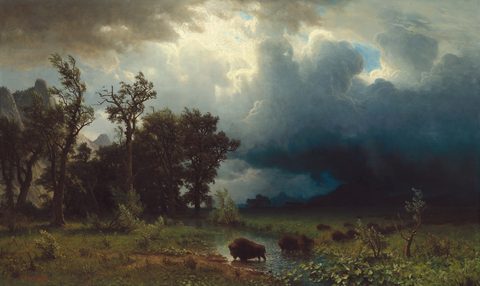 Buffalo Trail: The Impending Storm by Albert Bierstadt, 1869, framed print