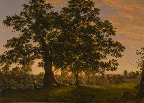 The Charter Oak at Hartford by Frederic Edwin Church, c. 1846, framed print
