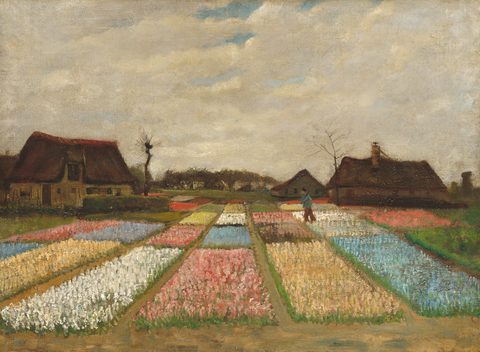Bulb Fields by Vincent van Gogh, 1883, framed print