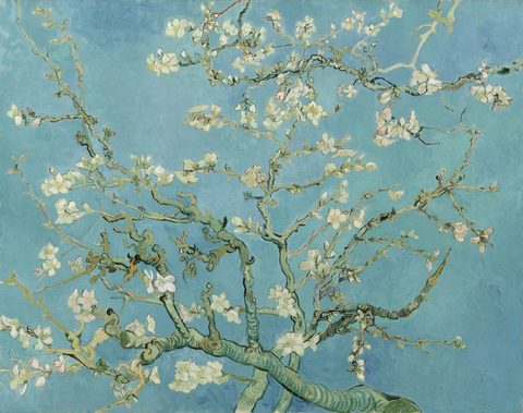 Almond Blossom by Vincent van Gogh, 1890, framed print