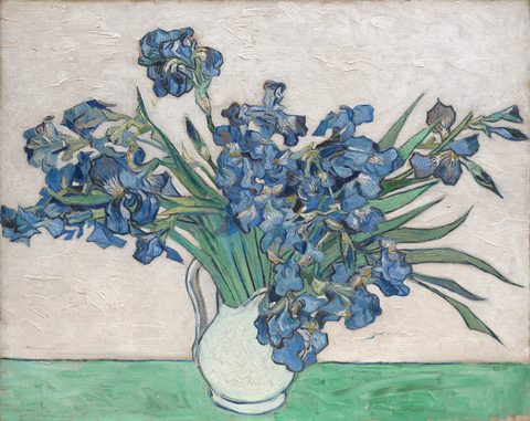 Irises by Vincent van Gogh, 1890, framed print