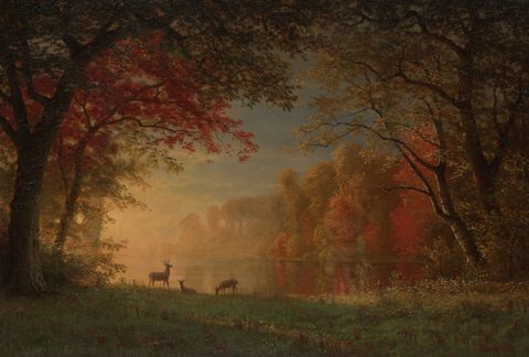 Indian Sunset: Deer by a Lake by Albert Bierstadt, c. 1880–1890, framed print