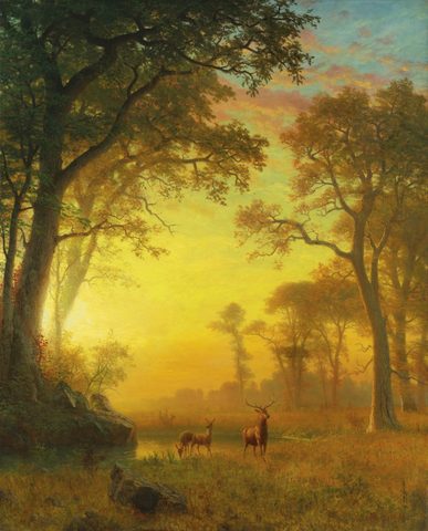 Light in the Forest by Albert Bierstadt, 1870s, framed print
