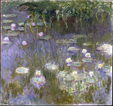 Water Lilies