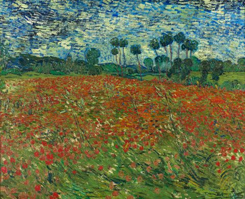 Poppy Field by Vincent van Gogh, 1890, framed print
